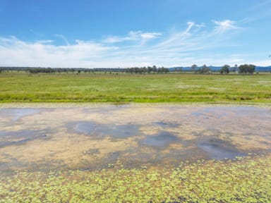 Property 54 Hanrahan Road, Coominya QLD 4311 IMAGE 0