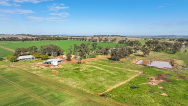 Property 326 Wightman Road, GUNNEDAH NSW 2380 IMAGE 0