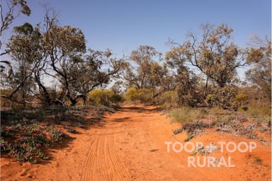Property Lot 1265 Warnecke Road, Monash SA 5342 IMAGE 0