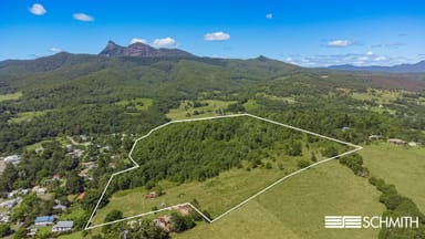 Property 20 Brays Creek Road, TYALGUM NSW 2484 IMAGE 0