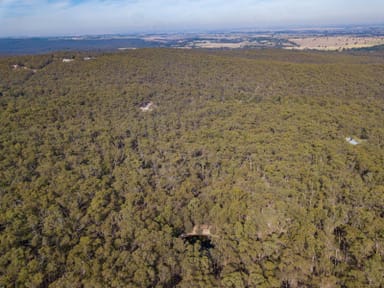 Property Lot 3 Donald McLeans Road, Staffordshire Reef VIC 3351 IMAGE 0