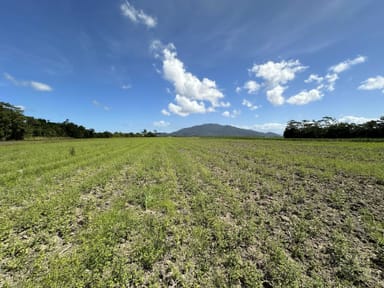 Property Djarawong QLD 4854 IMAGE 0