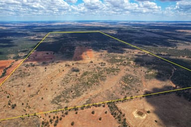 Property 'Arakoola' 146 Bolams Road, TULLAMORE NSW 2874 IMAGE 0