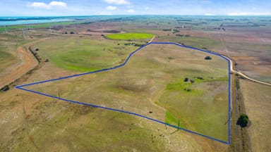 Property 359 Boundary Road, Tantanoola SA 5290 IMAGE 0