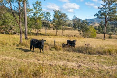 Property Jasper Creek Road, MOUNT SEAVIEW NSW 2446 IMAGE 0