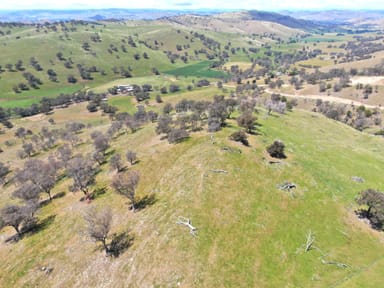 Property 1093 Burra Road, Gundagai NSW 2722 IMAGE 0