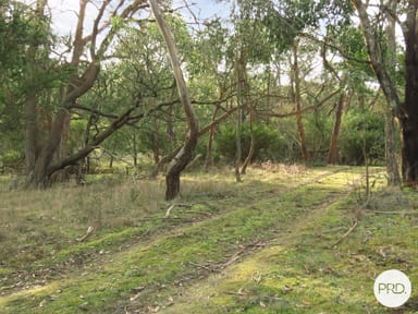 Property Lot 17 McIntoshs Lane, CHEPSTOWE VIC 3351 IMAGE 0