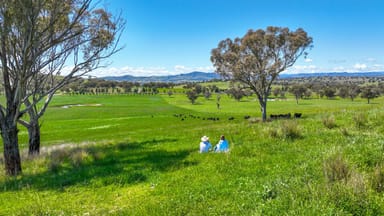 Property 13669 New England Highway, TAMWORTH NSW 2340 IMAGE 0