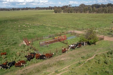 Property 955 Federation Way, Boorhaman VIC 3678 IMAGE 0