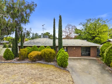 Property 28 Banker St, Barooga NSW 3644 IMAGE 0
