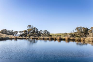 Property 1, 600 Tooborac Baynton Road, Glenhope East VIC 3522 IMAGE 0