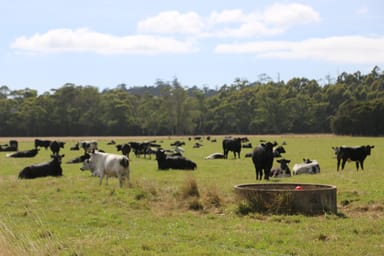 Property Wedge Plains Road, LILEAH TAS 7330 IMAGE 0