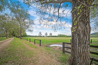 Property 1301 Chichester Dam Road, Bandon Grove, Via, DUNGOG NSW 2420 IMAGE 0