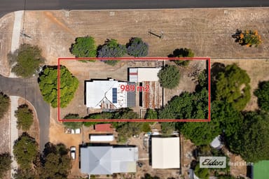 Property 19 Union Street, Donnybrook WA 6239 IMAGE 0