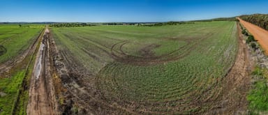 Property 31 Company Road, Greenough WA 6532 IMAGE 0