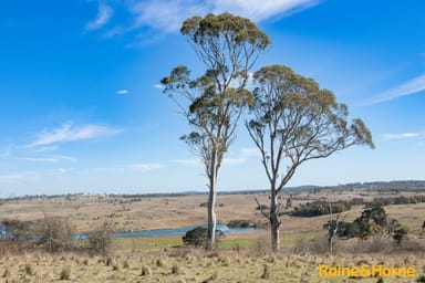 Property 435 Shannon Vale Road, SHANNON VALE NSW 2370 IMAGE 0