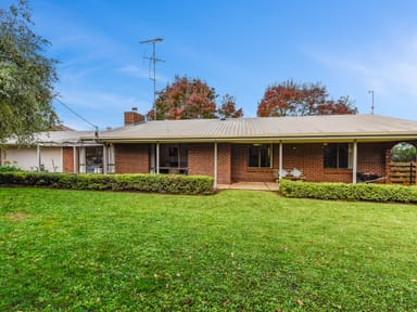 Property 24 Cameron St, Penola SA 5277 IMAGE 0