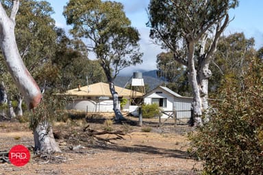 Property 388 Peak View Road, NUMERALLA NSW 2630 IMAGE 0