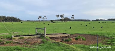 Property 2003 Settlement Road, Napier WA 6330 IMAGE 0