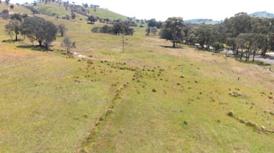 Property 1093 Burra Road, GUNDAGAI NSW 2722 IMAGE 0