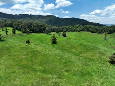 Property 659 Middlebrook Road, Millaa Millaa QLD 4886 IMAGE 0