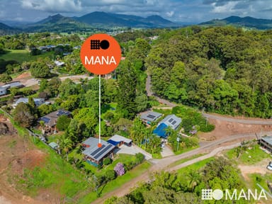 Property 1 Tree Street, MURWILLUMBAH NSW 2484 IMAGE 0