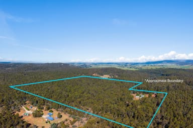 Property 119 Silver Wattle Drive, REEDY MARSH TAS 7304 IMAGE 0