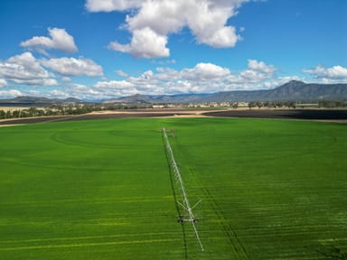 Property 1 Franklyn Vale Road, Mount Mort QLD 4340 IMAGE 0