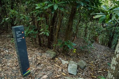 Property Lots 11, 12 & 24 Cherry Tree Bay, Cooktown QLD 4895 IMAGE 0