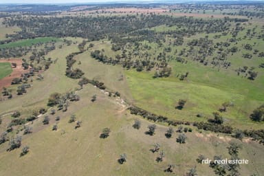 Property 929 Fairford Road, Warialda NSW 2402 IMAGE 0