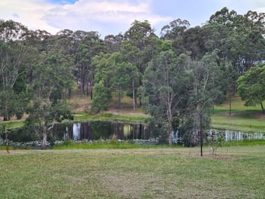 Property 1478 Collombatti Road, Collombatti NSW 2440 IMAGE 0