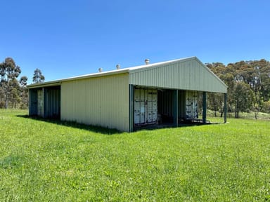 Property 601 McEachern Lane, TUMBARUMBA NSW 2653 IMAGE 0