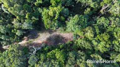 Property Lot 259 Silver Ash Road (Cow Bay), DAINTREE QLD 4873 IMAGE 0