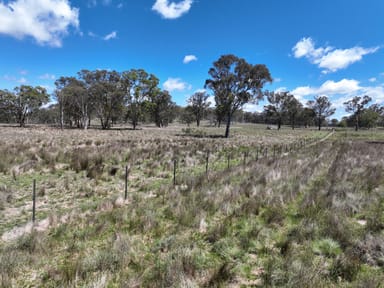 Property 936 Yarraford Road, GLEN INNES NSW 2370 IMAGE 0