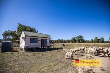 Property 1613 Spring Ridge Road, Dunedoo NSW 2844 IMAGE 0