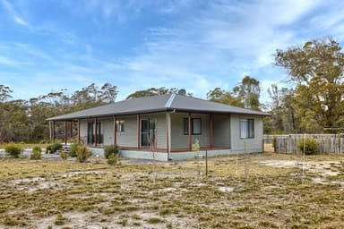 Property 402 Badger Head Road, BADGER HEAD TAS 7270 IMAGE 0