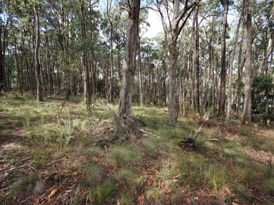 Property Lot 114 Pine Court, Dales Creek VIC 3341 IMAGE 0