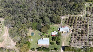 Property 154 Foleys Road, NORTH GREGORY QLD 4660 IMAGE 0