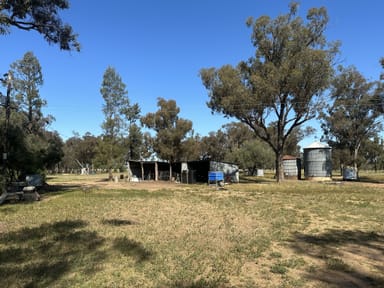 Property Lot 133 Troths Lane, QUANDIALLA NSW 2721 IMAGE 0