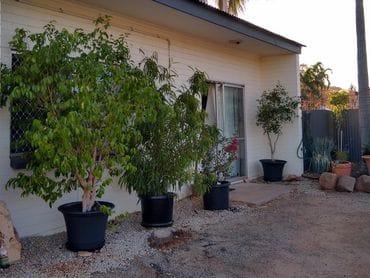 Property 3 Clough Court, Katherine NT 850 IMAGE 0