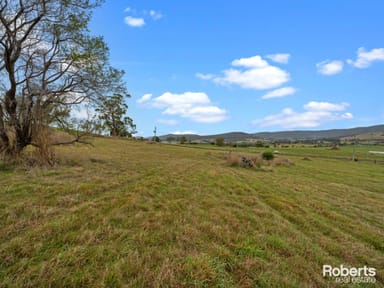 Property 100 Weston Hill Road, Sorell TAS 7172 IMAGE 0