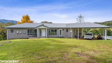 Property 233 Mount Coxcomb Road, Upper Lansdowne NSW 2430 IMAGE 0