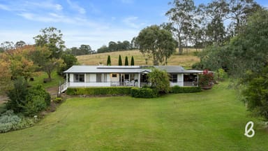 Property 251 Goorangoola Creek Road, Singleton NSW 2330 IMAGE 0