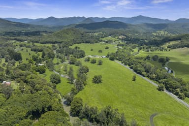 Property 981 Numinbah Road, CRYSTAL CREEK NSW 2484 IMAGE 0