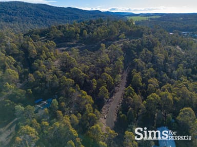 Property 101A Blackstone Road, BLACKSTONE HEIGHTS TAS 7250 IMAGE 0