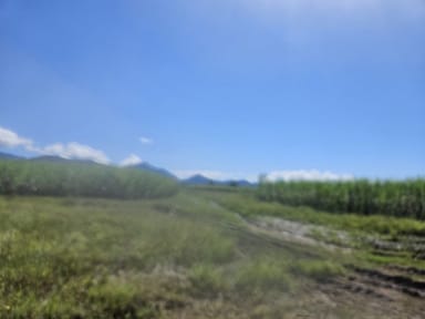Property 2, Hawkins Creek Road, Hawkins Creek QLD 4850 IMAGE 0