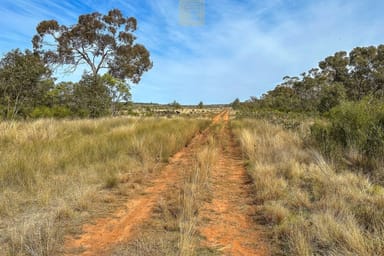 Property 1211 Yarrandale Road, Hermidale NSW 2831 IMAGE 0