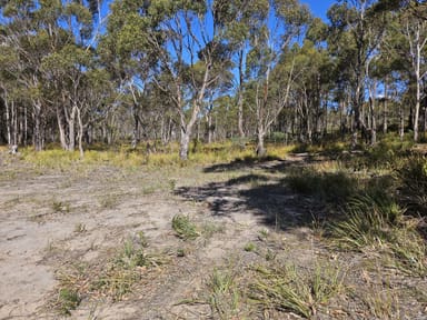 Property 161 Levendale Back Road, LEVENDALE TAS 7120 IMAGE 0
