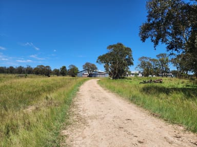 Property 29 Bardini Lane, Fleurbaix QLD 4375 IMAGE 0