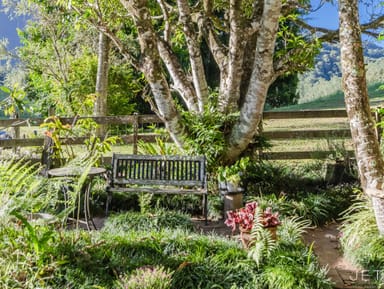 Property 114 Booka Road, Upper Crystal Creek NSW 2484 IMAGE 0